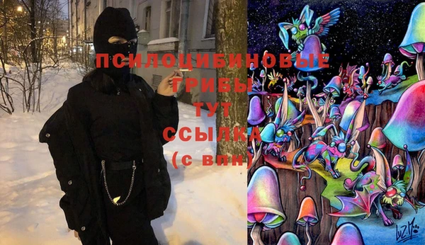 тгк Сосновоборск