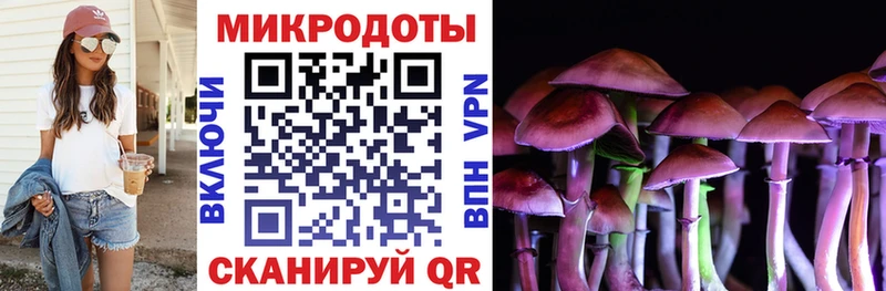 наркотики  Белово  Псилоцибиновые грибы Psilocybe 