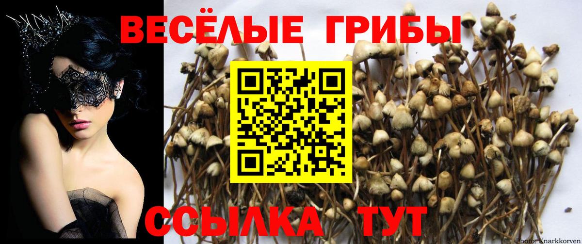 Белово  купить  сайты  Галлюциногенные грибы Magic Shrooms  Вход с VPN  Галлюциногенные грибы Magic Shrooms 